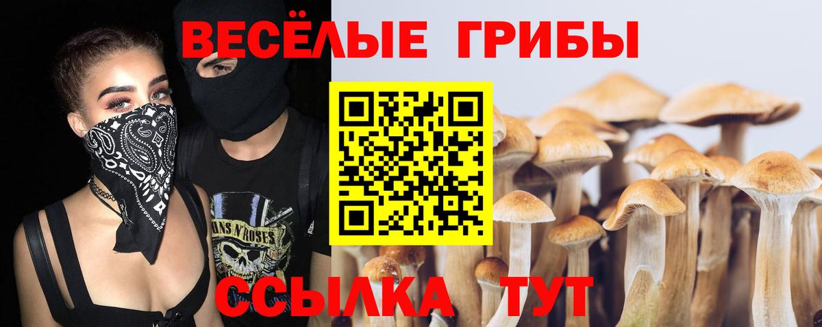 Новосибирск  Псилоцибиновые грибы GOLDEN TEACHER  Вход с VPN  Псилоцибиновые грибы Magic Shrooms 