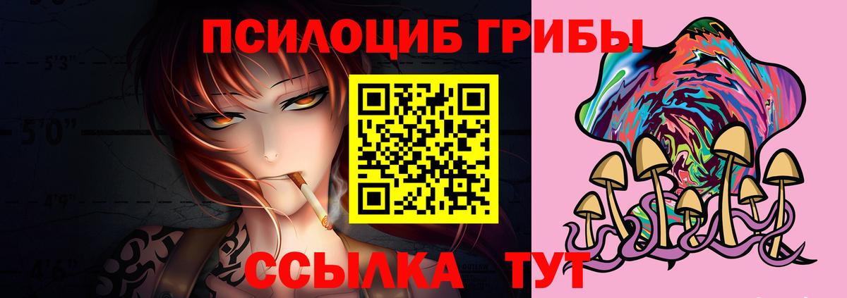 Галлюциногенные грибы прущие грибы Новосибирск